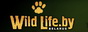 wildlife.by